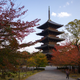 Image for article titled The Ancient Material That's Being Used To Develop Earthquake-Proof Skyscrapers? Wood.